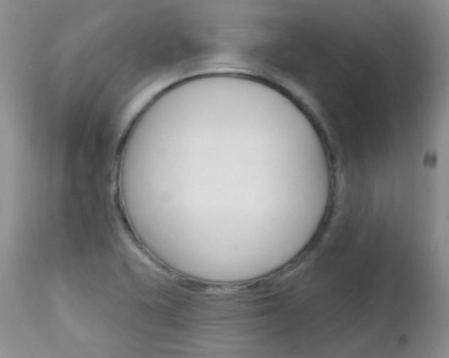 X0000113101415200908280941