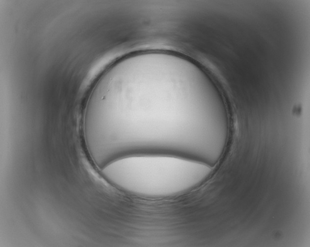 X0000113101416200908280941