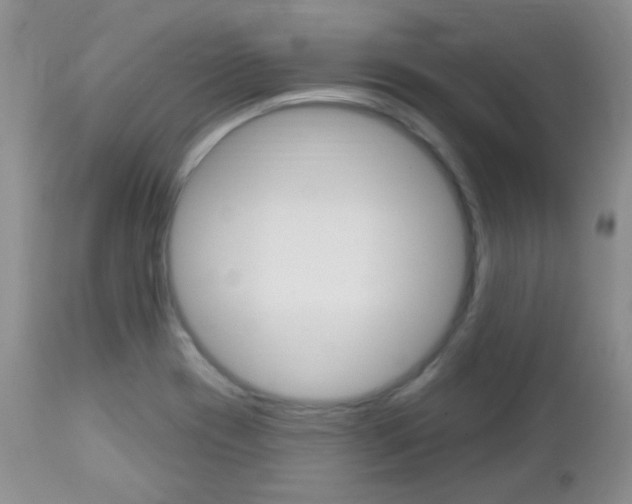 X0000113101417200908280941