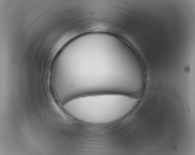 X0000113101418200908280941