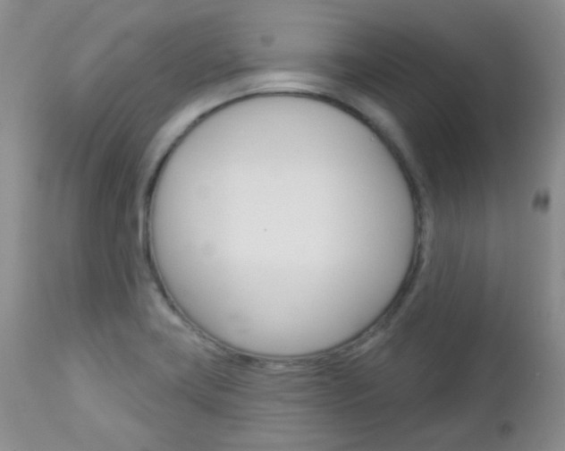 X0000113101419200908280941