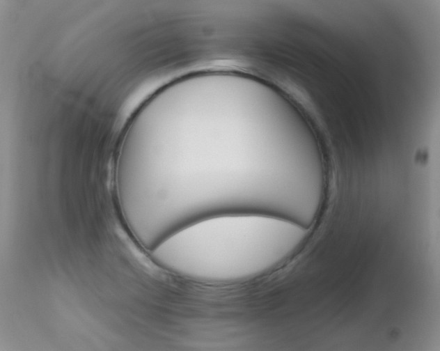 X0000113101420200908280941