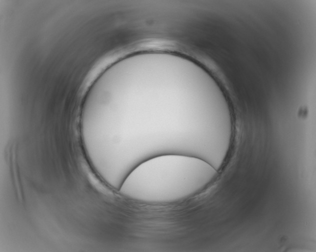 X0000113101421200908280941