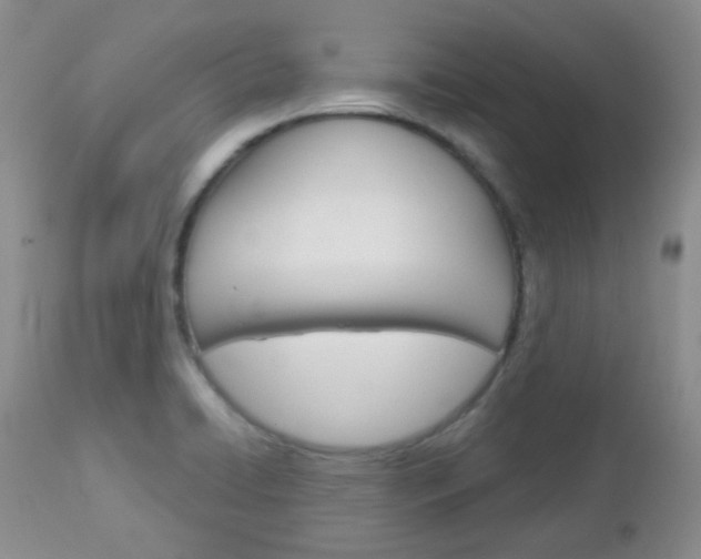 X0000113101422200908280941
