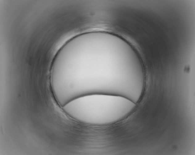 X0000113101423200908280941
