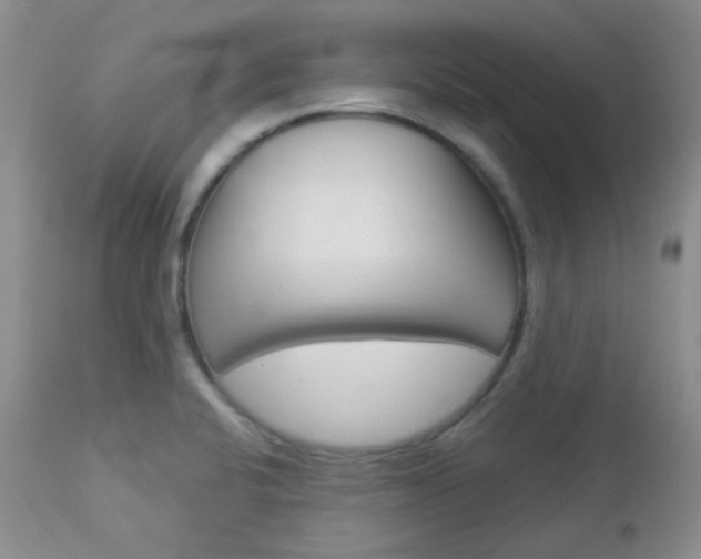 X0000113101424200908280941