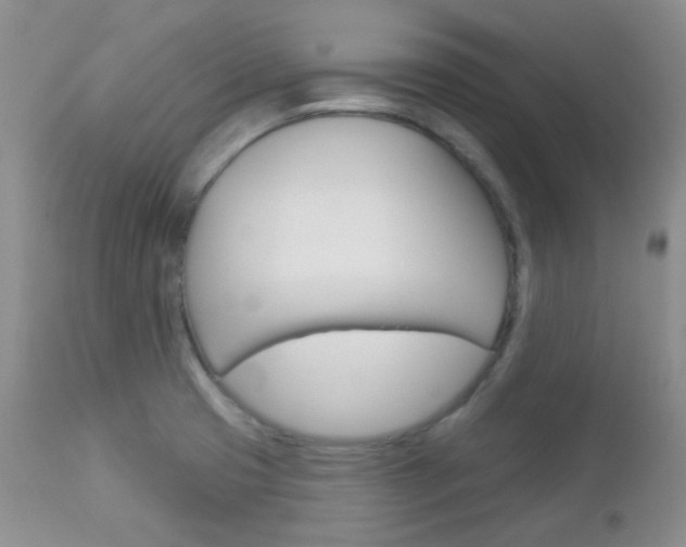 X0000113101425200908280941