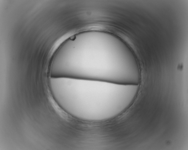 X0000113101426200908280941