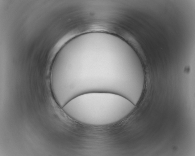 X0000113101427200908280941