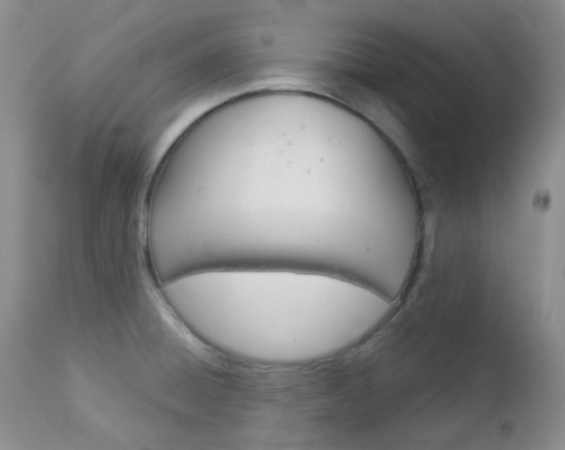X0000113101428200908280941