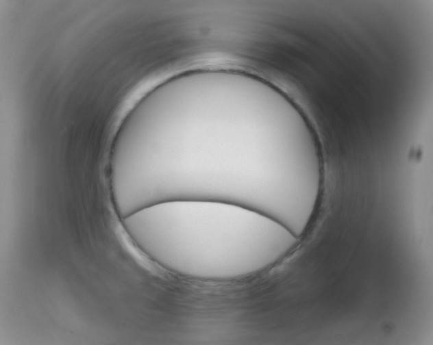 X0000113101429200908280941