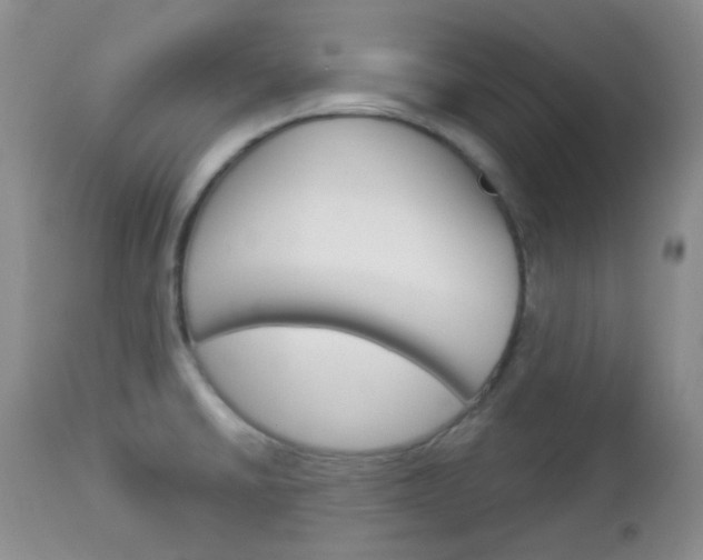X0000113101430200908280941