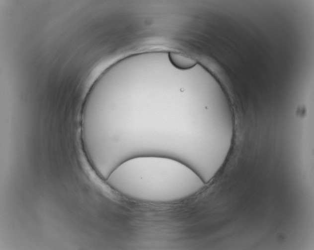 X0000113101431200908280941