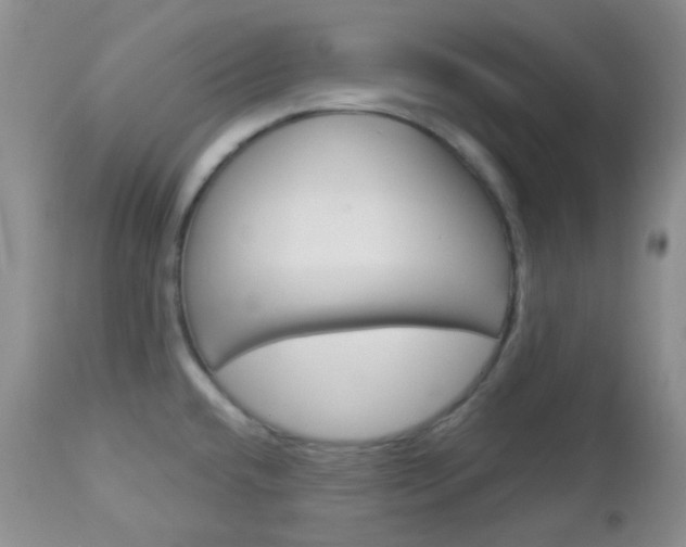 X0000113101432200908280941