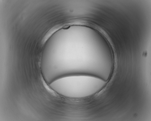 X0000113101433200908280941