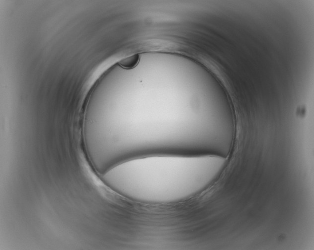 X0000113101434200908280941