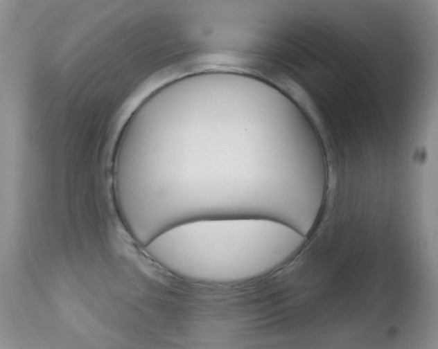 X0000113101435200908280941