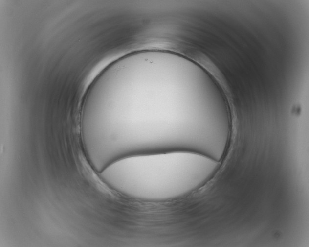 X0000113101436200908280941