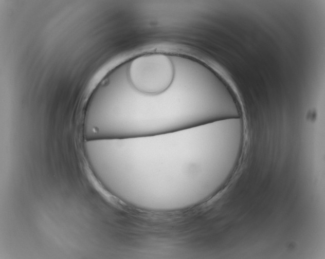 X0000113101437200908280941