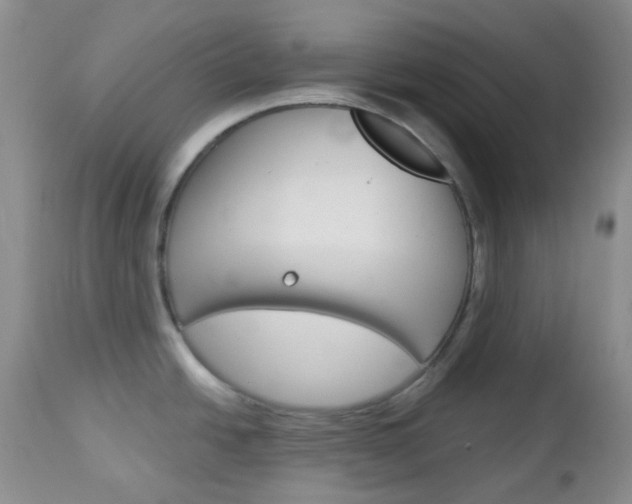 X0000113101438200908280941