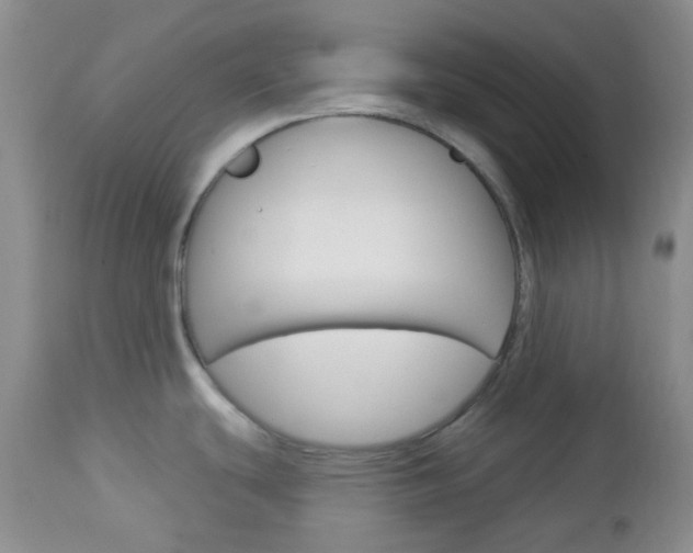 X0000113101439200908280941