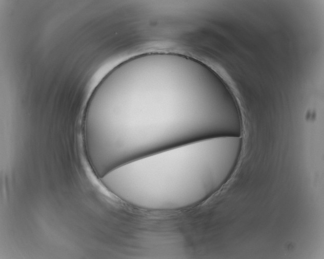 X0000113101440200908280941
