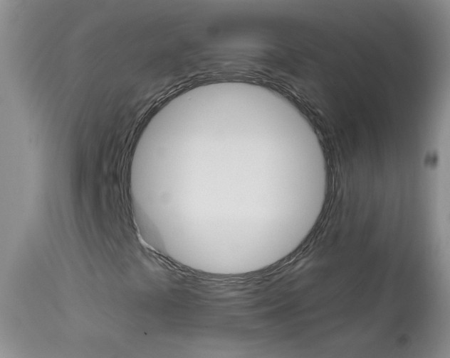 X0000113101441200908280941