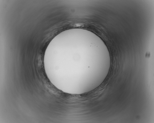 X0000113101442200908280941