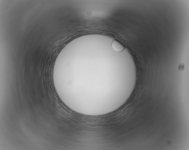 X0000113101443200908280941