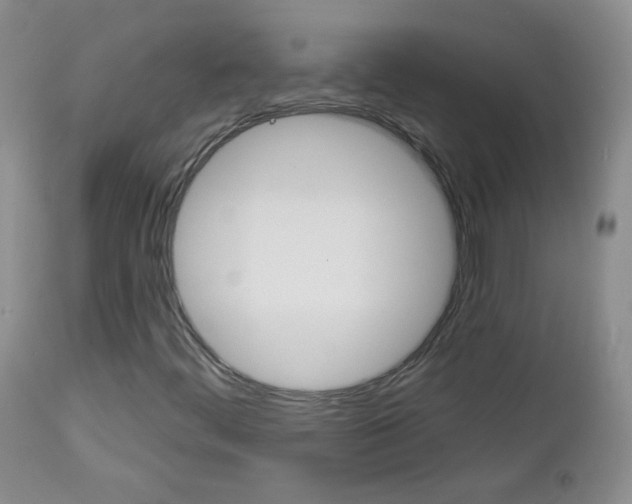 X0000113101444200908280941