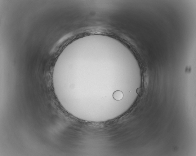 X0000113101446200908280941