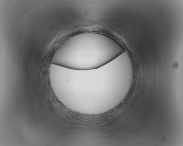 X0000113101447200908280941