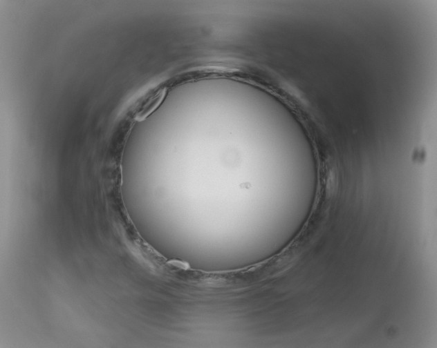 X0000113101448200908280941