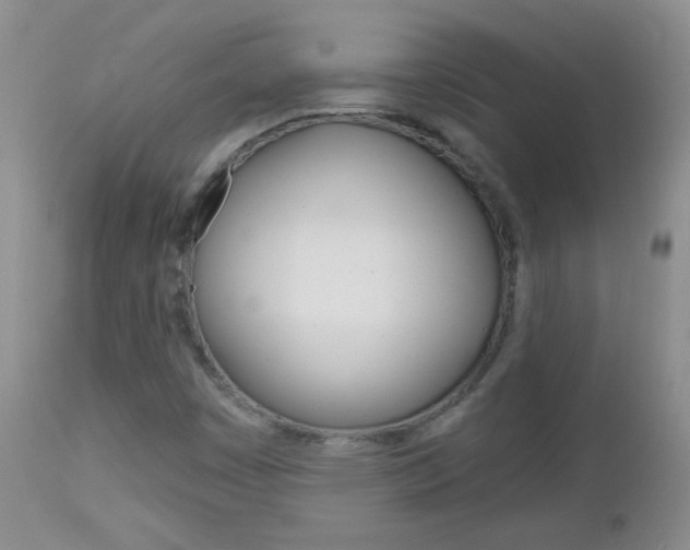 X0000113101449200908280941