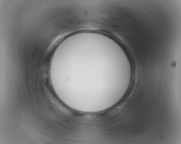 X0000113101451200908280941