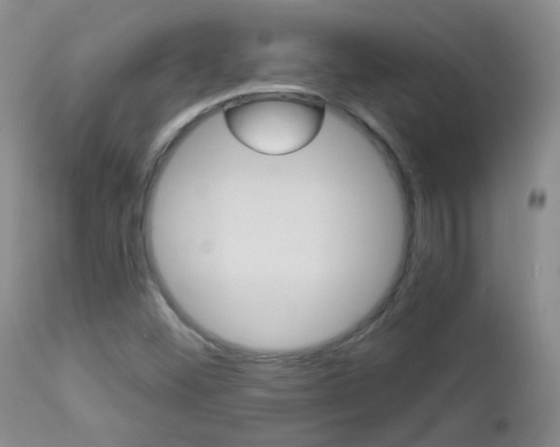 X0000113101452200908280941