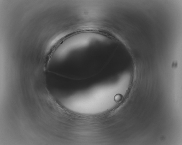X0000113101453200908280941