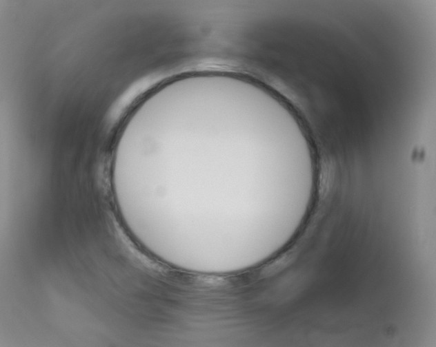 X0000113101454200908280941