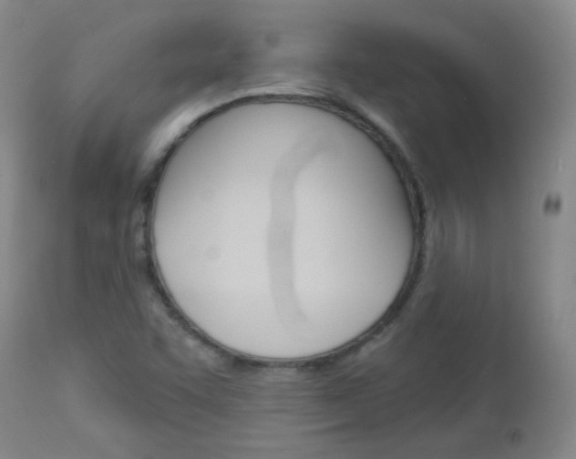 X0000113101455200908280941