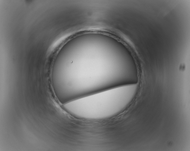 X0000113101456200908280941