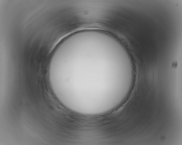 X0000113101457200908280941