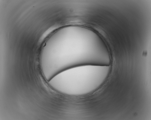 X0000113101458200908280941