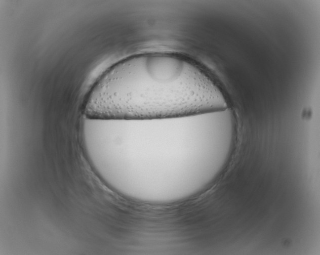 X0000113101459200908280940