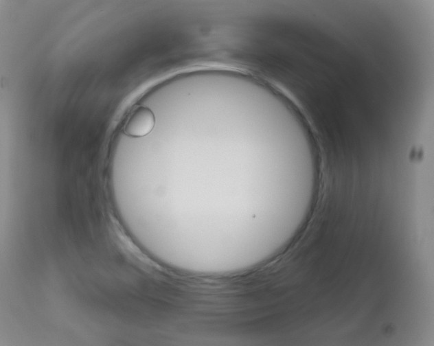 X0000113101460200908280940