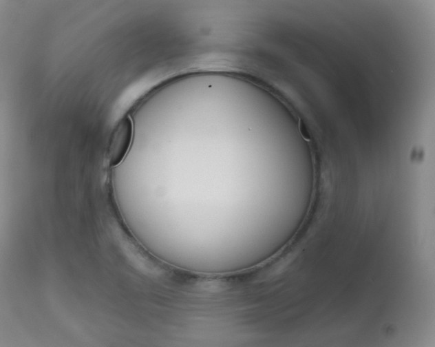 X0000113101461200908280940