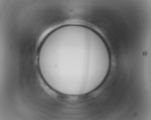 X0000113101462200908280940
