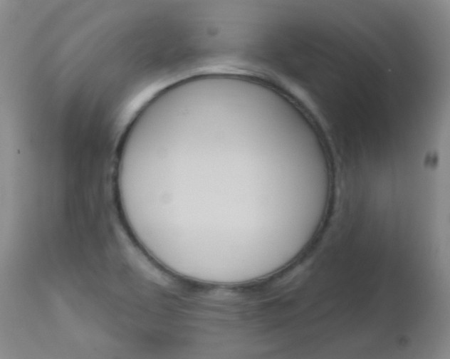 X0000113101463200908280940