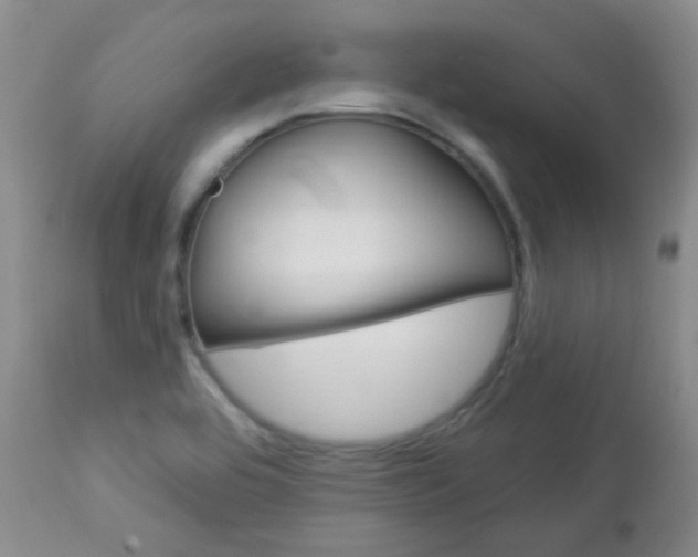 X0000113101464200908280940