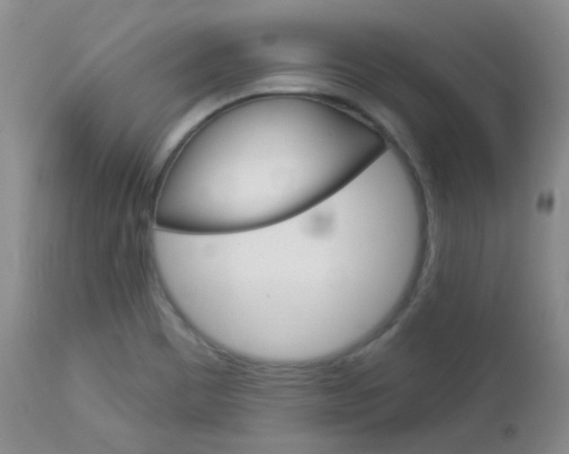 X0000113101465200908280940