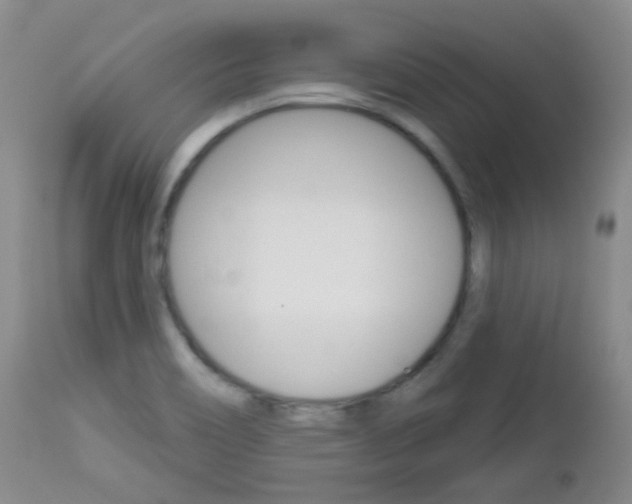 X0000113101466200908280940